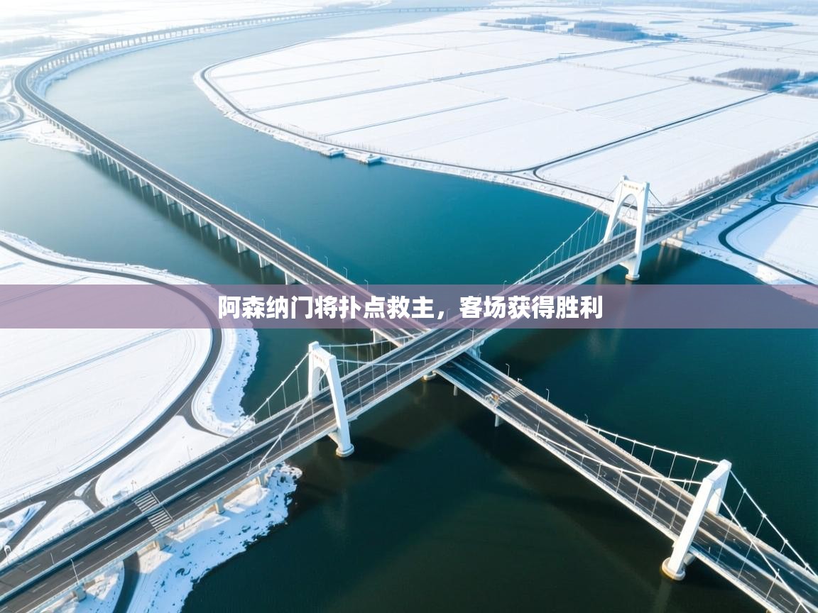 阿森纳门将扑点救主，客场获得胜利  第1张