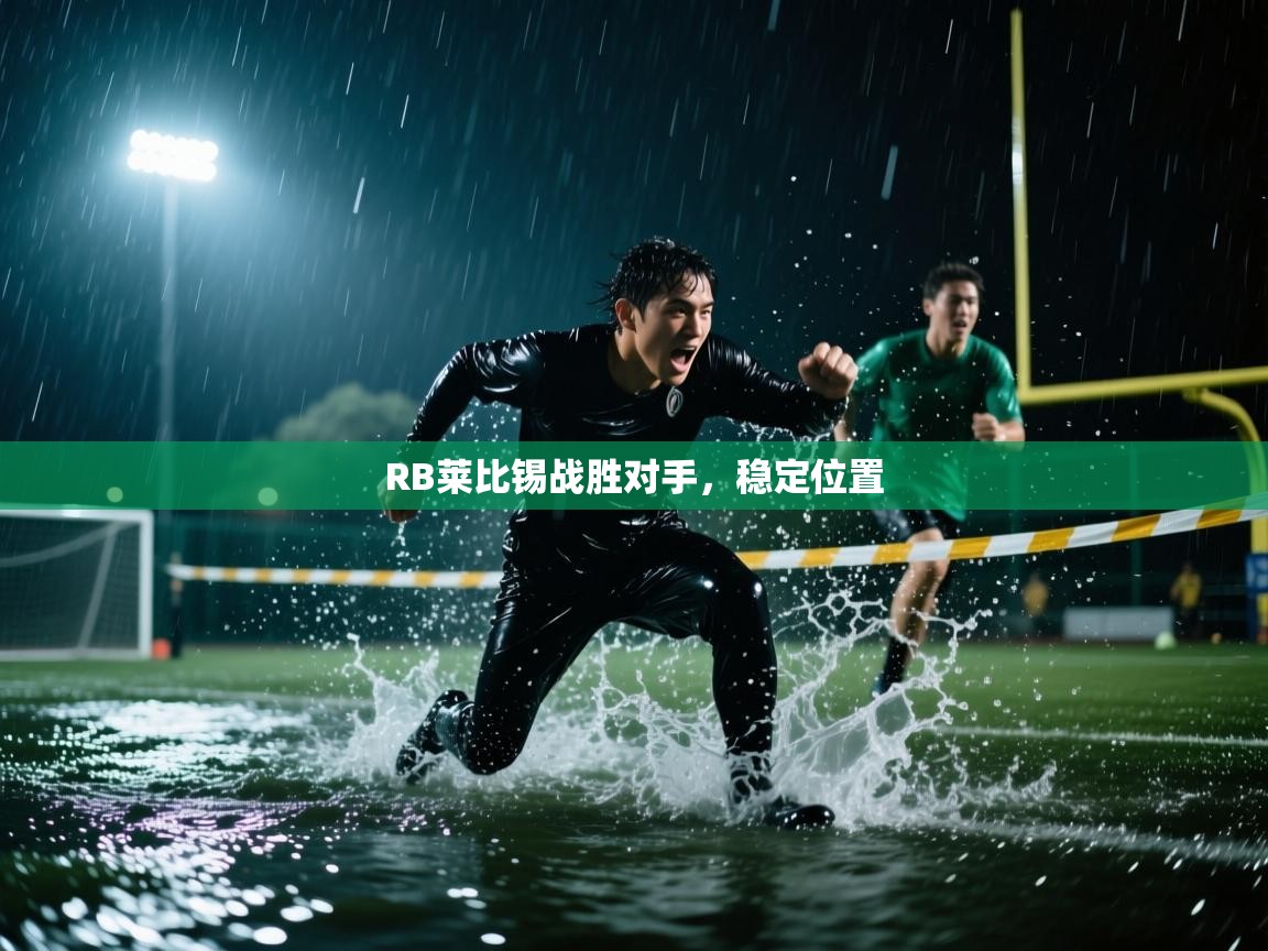 RB莱比锡战胜对手，稳定位置  第2张