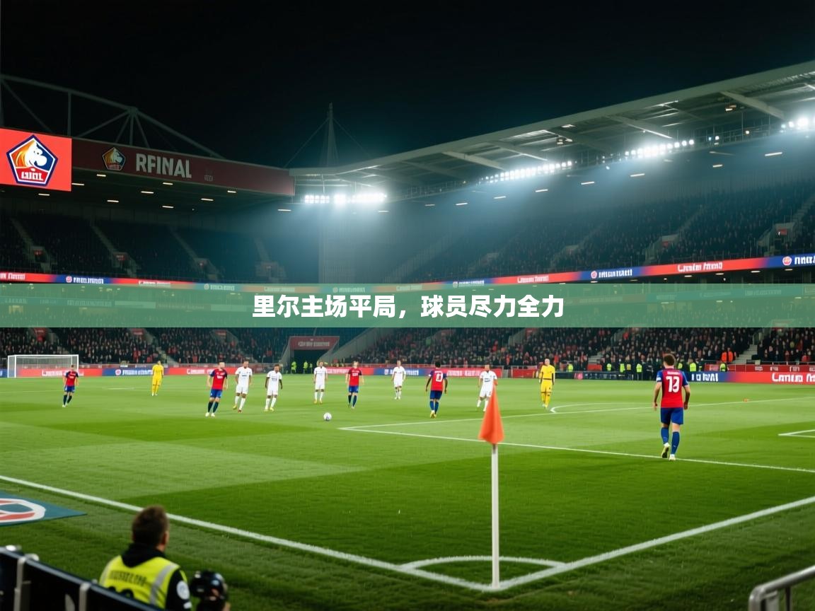 里尔主场平局,球员尽力全力 第1张