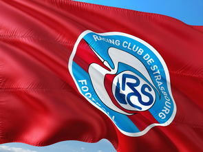 开云体育官网登入-帕尔梅拉斯球员伤愈归队，阵容进一步完整