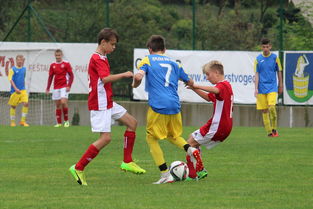 开云足球直播-丹麦客场逼平，出线希望仍未破灭